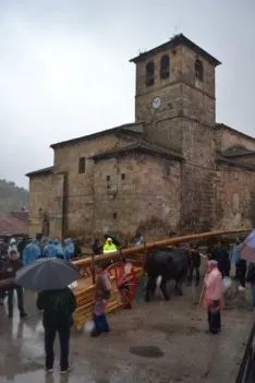 Pingadas de los mayos en Pinares
