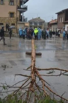 Pingadas de los mayos en Pinares