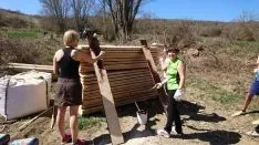 Imagen de los trabajos colectivos.