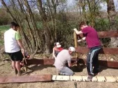 Imagen de los trabajos colectivos.