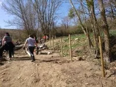 Imagen de los trabajos colectivos.