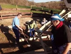 Imagen de los trabajos colectivos.