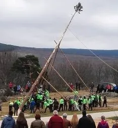 Pingadas de los mayos en Pinares