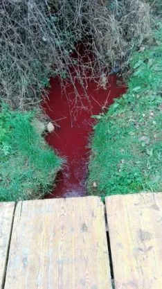 Imagen del vertido según ASDEN. /ASDEN