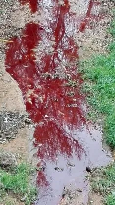 Imagen del vertido según ASDEN. /ASDEN