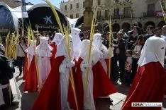 Procesión Domingo de Ramos. /Patricia Lapresta