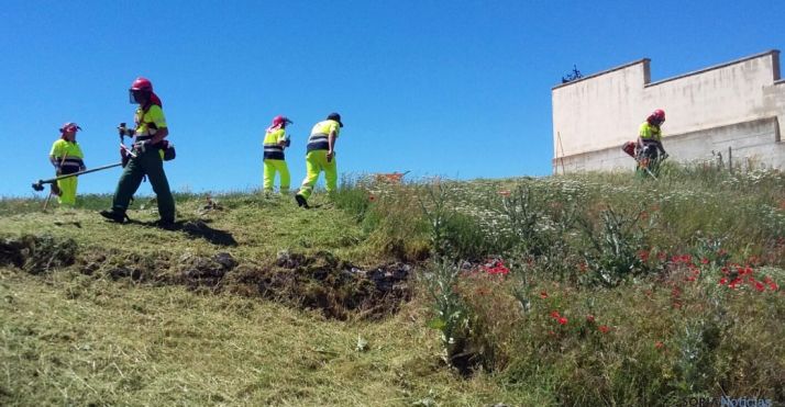 Brigada forestal de un municipio en la provincia. /Dip.