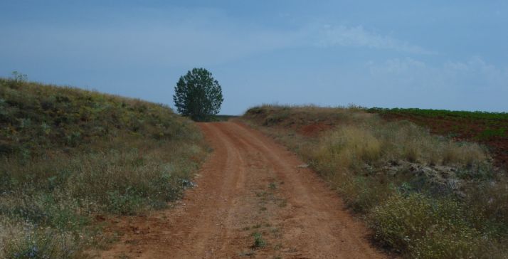Camino Rural en Alcubilla de las Peñas