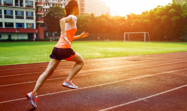 Dictamen favorable de la Diputación. 