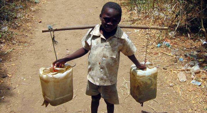 Las solicitudes se incrementan cada año. 