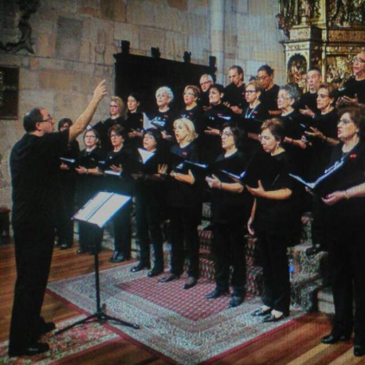 Imagen de la coral/ CED