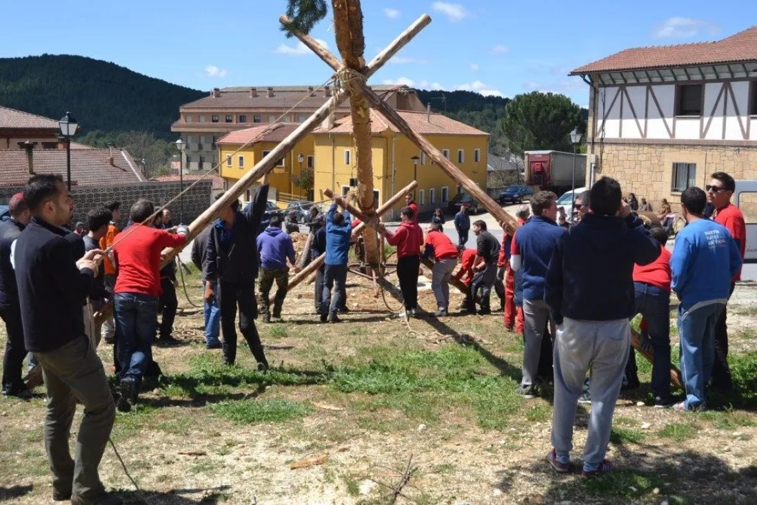 Pingadas de los mayos en Pinares