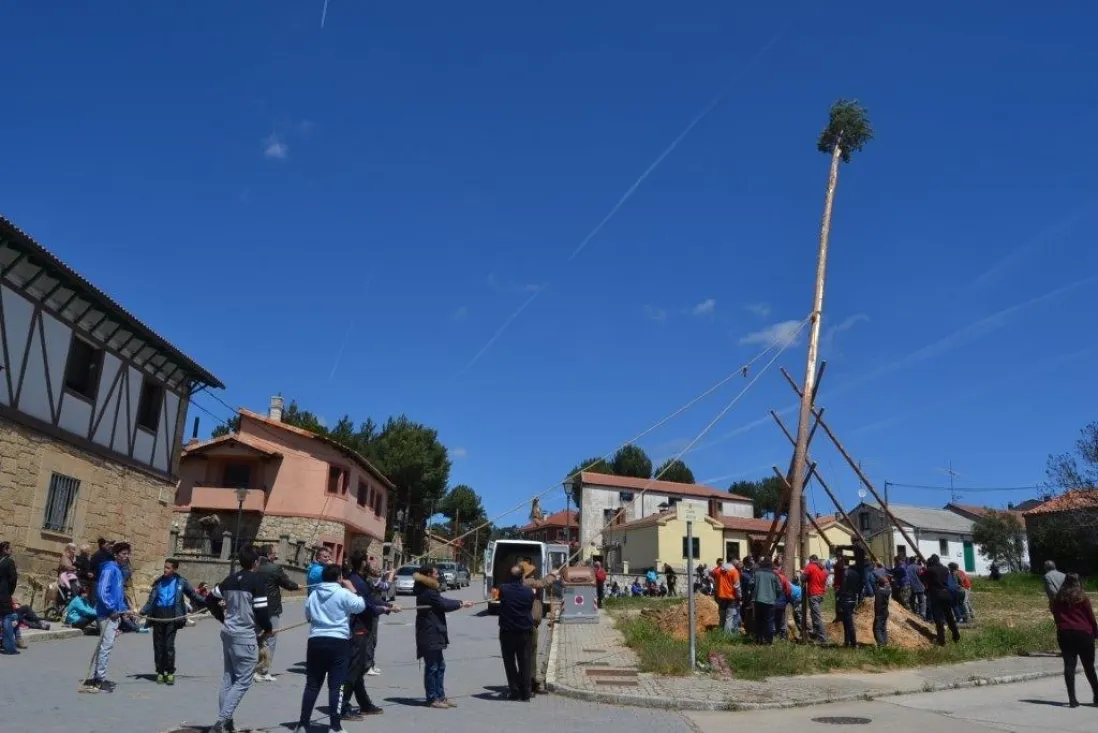 Pingadas de los mayos en Pinares