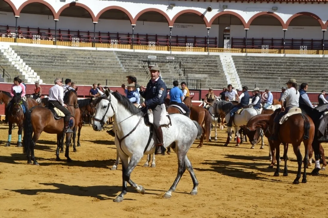 Romería ecuestre a Valonsadero. /SN