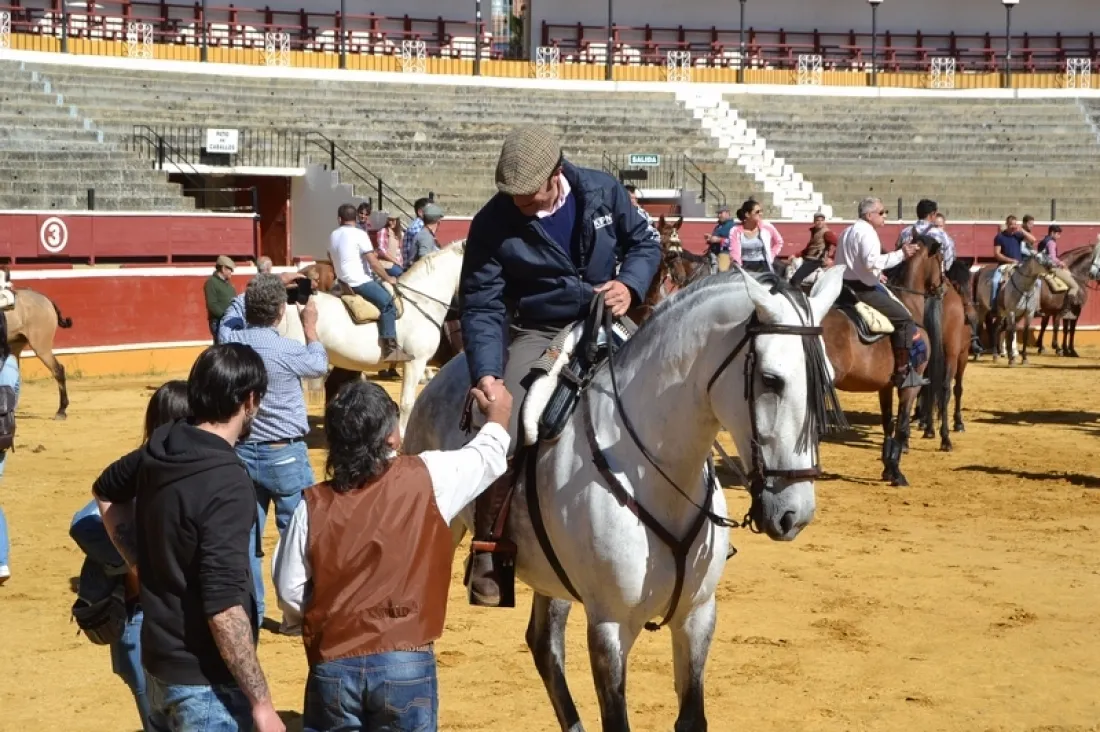 Romería ecuestre a Valonsadero. /SN