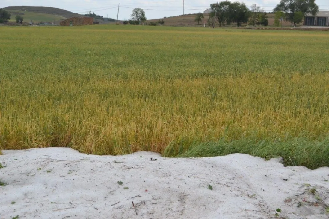 Granizada en Ágreda
