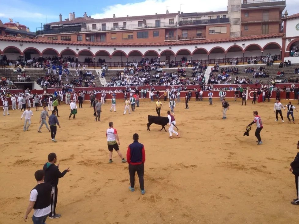 Foto 10 - Las vaquillas de Interpe&ntilde;as, un &eacute;xito