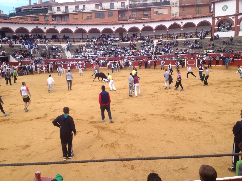Foto 9 - Las vaquillas de Interpe&ntilde;as, un &eacute;xito