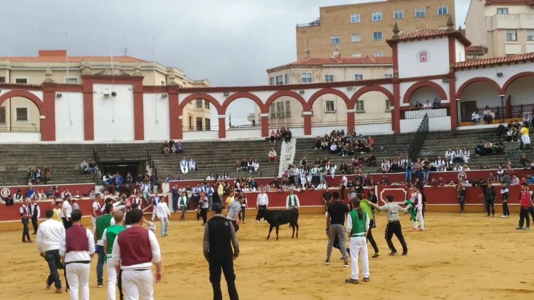 Foto 7 - Las vaquillas de Interpe&ntilde;as, un &eacute;xito
