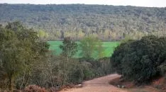 Uno de los parajes cerca del río. /SN
