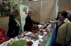 Una imagen de la jornada este viernes en el primer día de la feria admantina. /SN