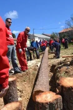 Pingadas de los mayos en Pinares