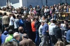 Pingadas de los mayos en Pinares