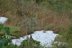 Granizada en Ágreda