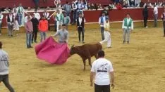 Foto 27 - Las vaquillas de Interpe&ntilde;as, un &eacute;xito