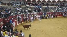 Foto 25 - Las vaquillas de Interpe&ntilde;as, un &eacute;xito
