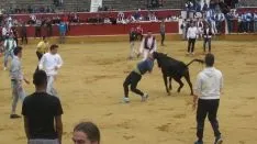 Foto 24 - Las vaquillas de Interpe&ntilde;as, un &eacute;xito