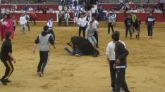 Foto 20 - Las vaquillas de Interpe&ntilde;as, un &eacute;xito