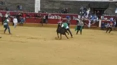 Foto 18 - Las vaquillas de Interpe&ntilde;as, un &eacute;xito