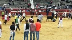 Foto 16 - Las vaquillas de Interpe&ntilde;as, un &eacute;xito