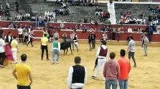 Foto 15 - Las vaquillas de Interpe&ntilde;as, un &eacute;xito