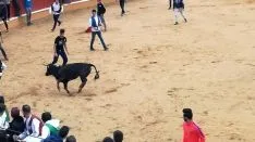 Foto 12 - Las vaquillas de Interpe&ntilde;as, un &eacute;xito