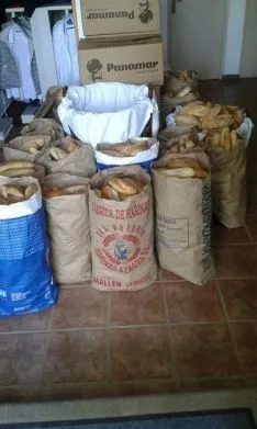 Fiesta del Día del Chorizo.