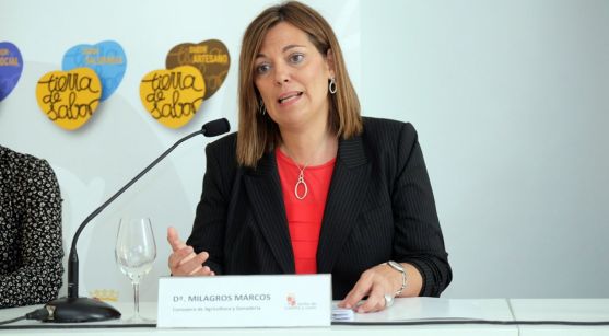 La consejera Milagros Marcos en la presentación del Informe Nielsen. /Jta.