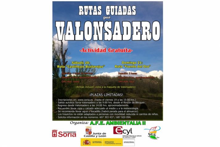 Incluyen desplazamiento en autobús.