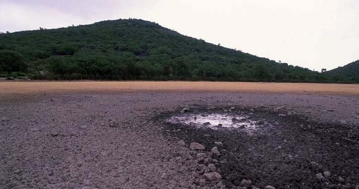 El satélite Terra confirma la situación actual de pérdida de pastos por la sequía