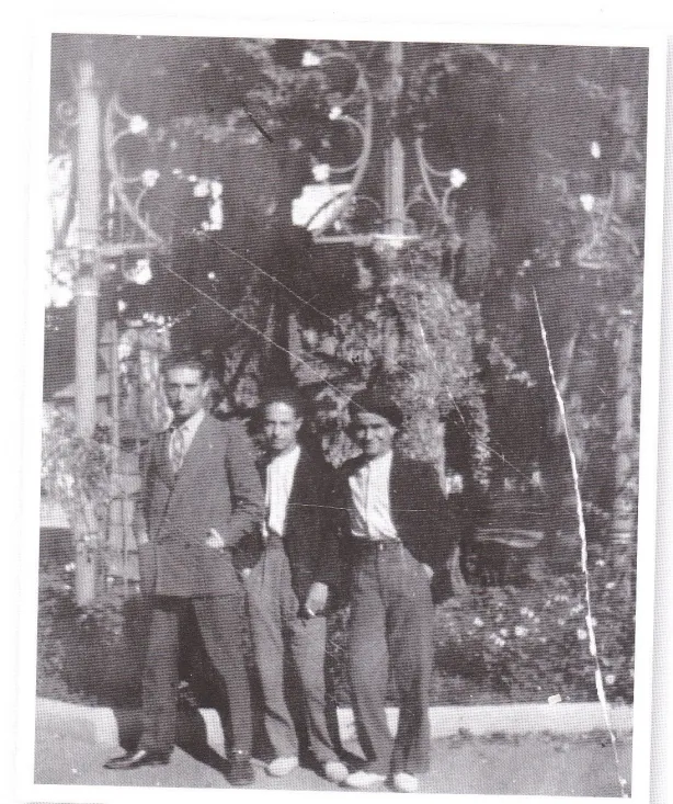 4º premio: 'En el Árbol de la Música'
