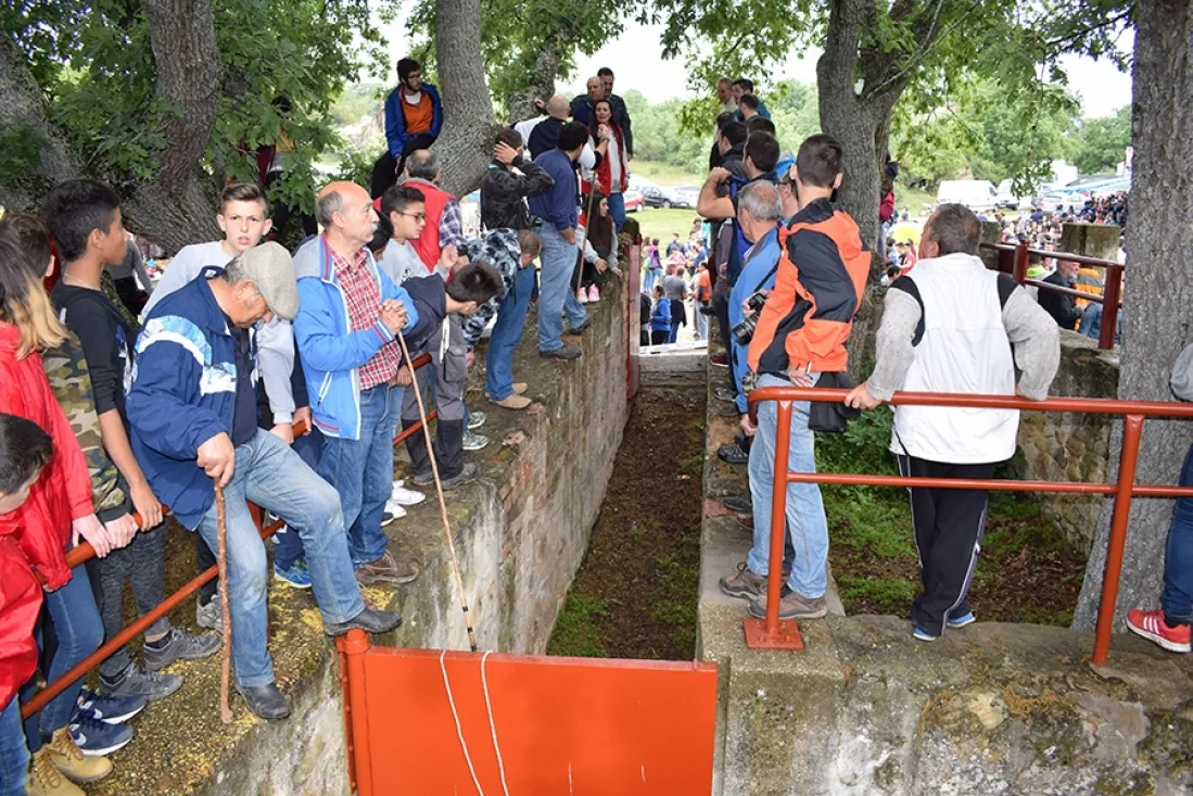 Desencajonamiento 2017