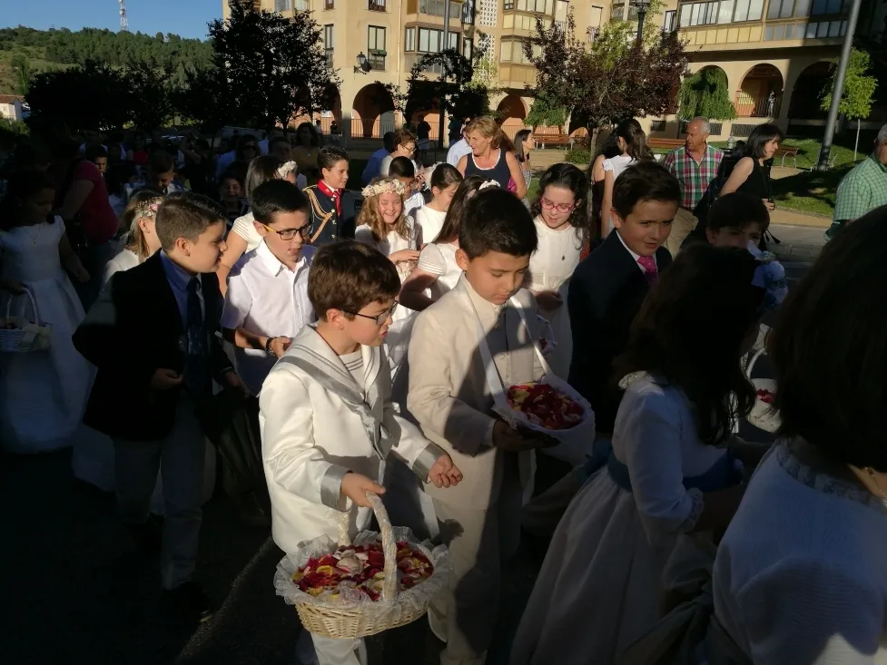 Imágenes del corpus/ SN