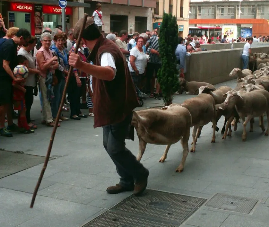 Imagen del paso del ganado por la capital./SN