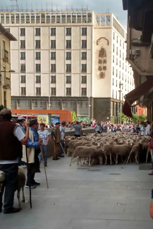 Imagen del paso del ganado por la capital./SN