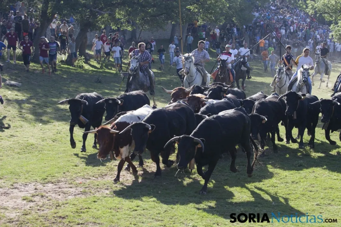 Lavalenguas 2017 / Maria Ferrer