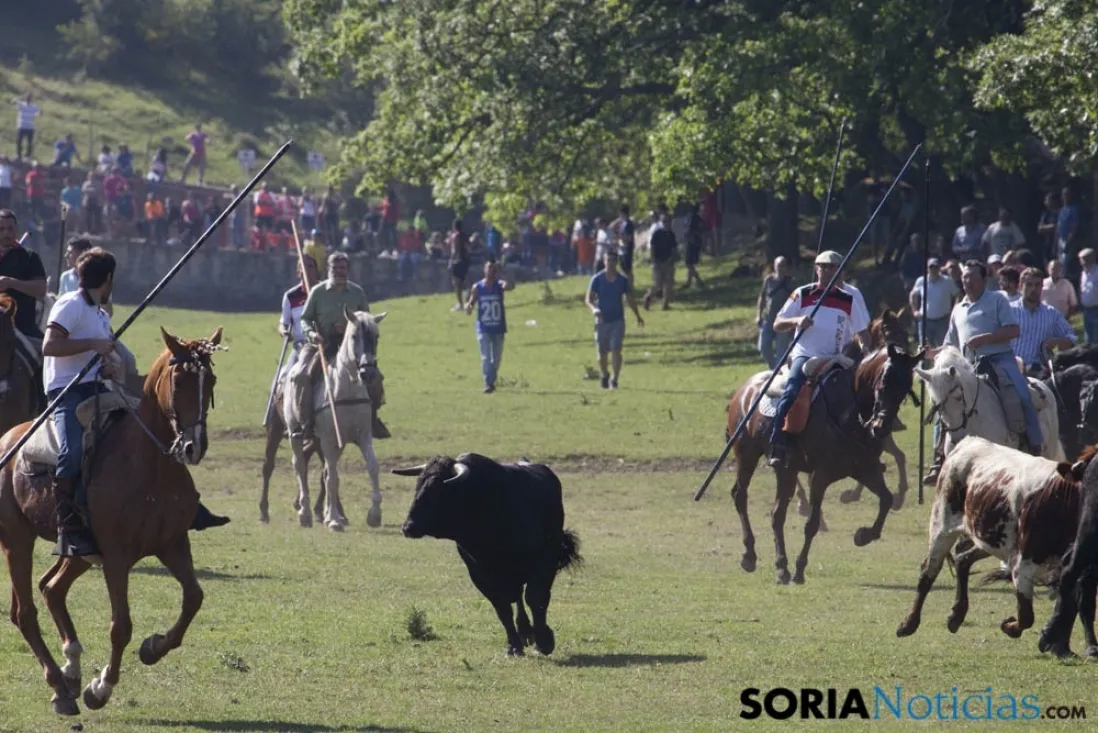 Lavalenguas 2017 / Maria Ferrer