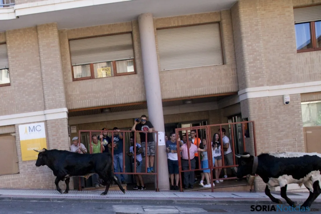 Encierro / María Ferrer