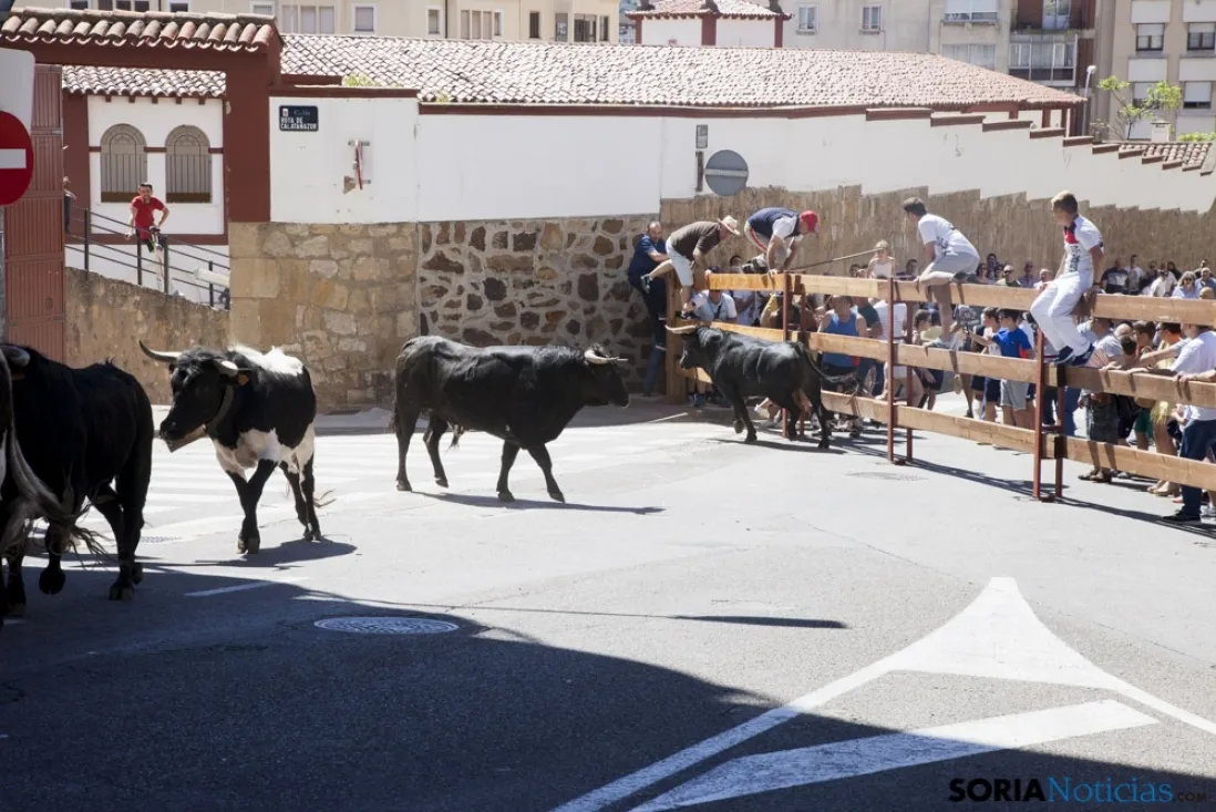 Encierro / María Ferrer