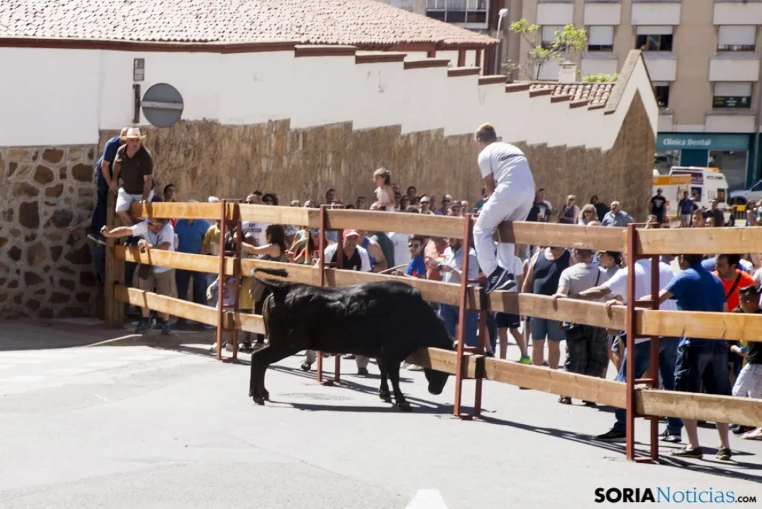 Encierro / María Ferrer